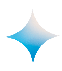 Google Gemini